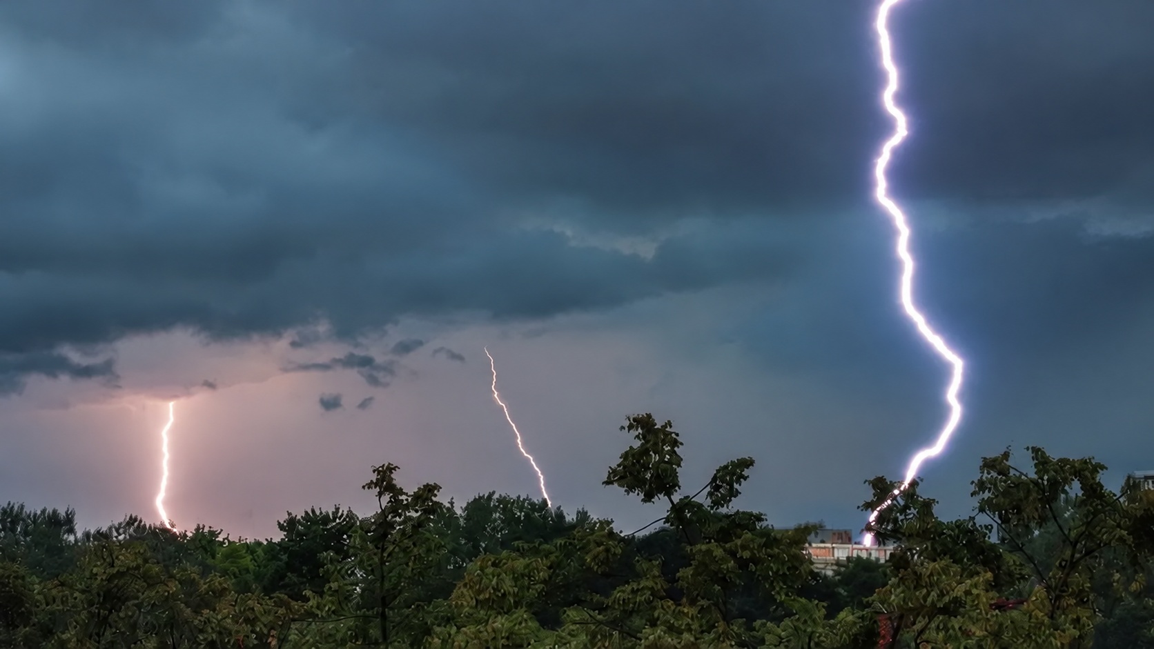 Bliksem boven bomen tijdens een onweersbui